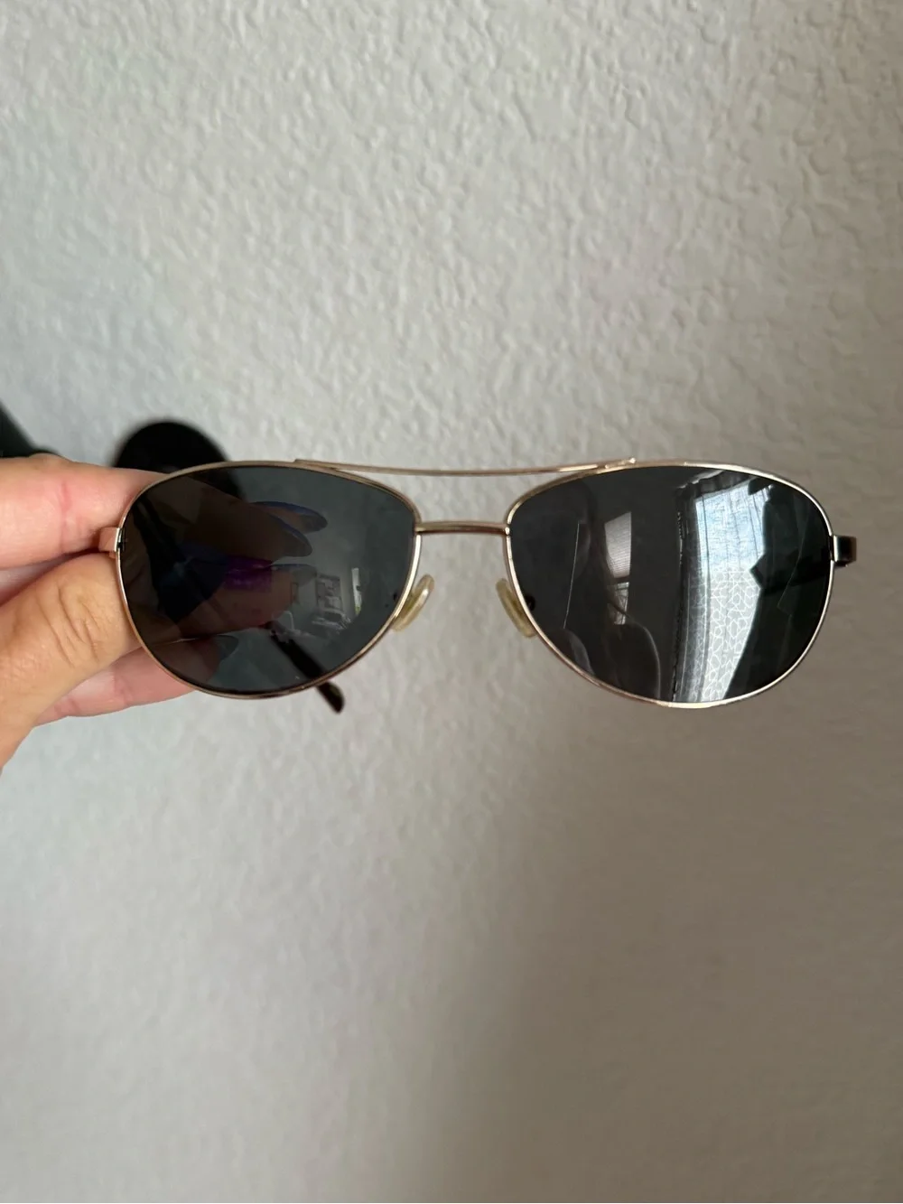 Vera Bradley Heidi in Indiana Rose Print Sunglasses